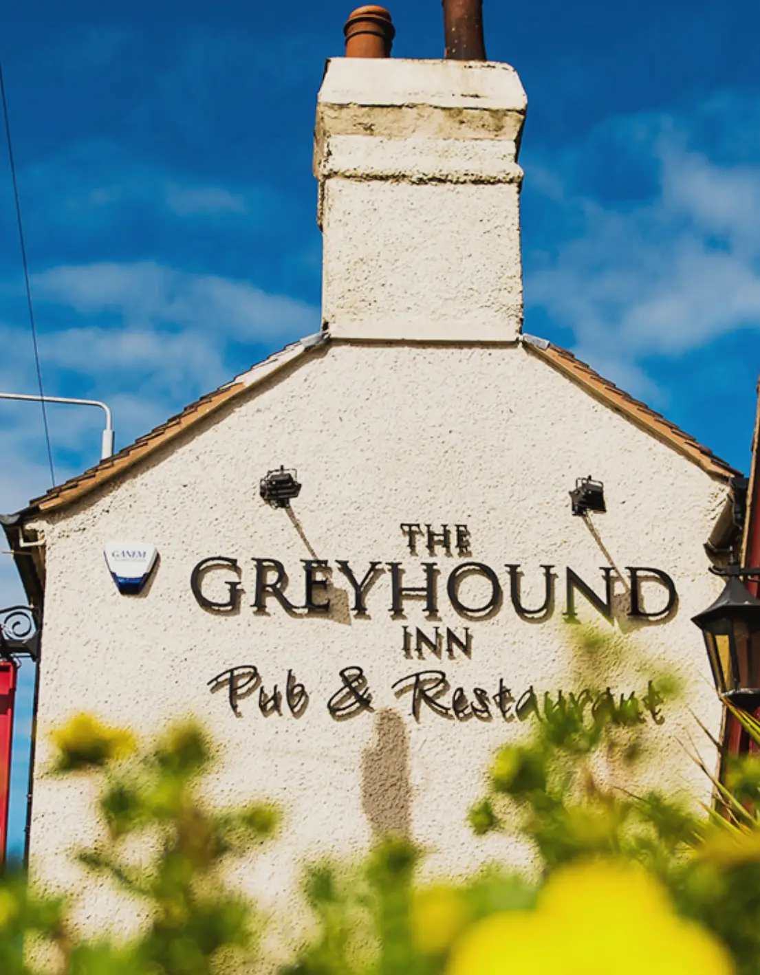greyhound woodville